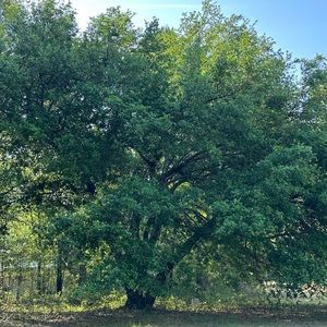 Meet your Posher, Libby